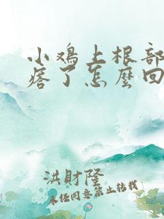 小鸡上根部长疙瘩了怎么回事