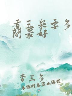 煮玉米要多长时间最好