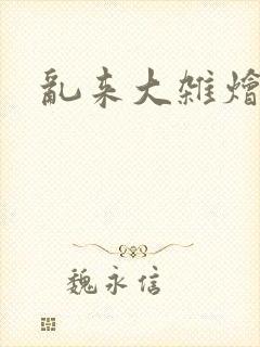 乱来大杂烩小说