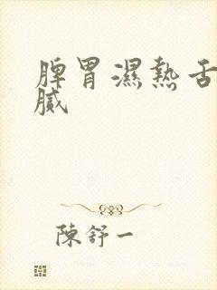 脾胃湿热舌苔黄腻