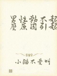 男性勃不起是什么原因引起的