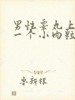 男性睾丸上长了一个小肉粒