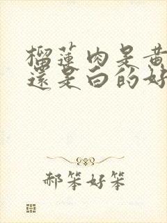 榴莲肉是黄的好还是白的好吃