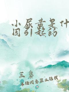 小尿黄是什么原因引起的