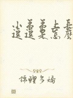 小弟弟上长了个逗逗是怎么回事