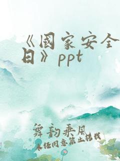 《国家安全教育日》ppt