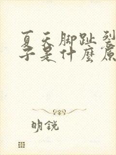 夏天脚趾裂开口子是什么原因