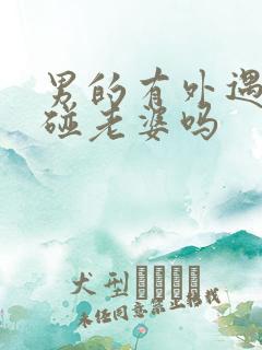 男的有外遇还会碰老婆吗