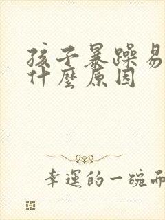 孩子暴躁易怒是什么原因