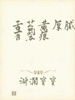 舌苔黄厚腻中间有裂痕