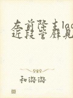 左前降支lad近段管壁见非钙化斑块