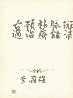 右颈动脉斑块通过治疗能消失吗