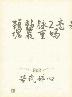 颈动脉2毫米斑块严重吗