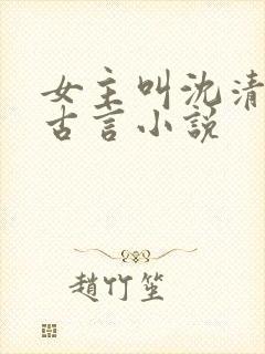女主叫沈清微的古言小说