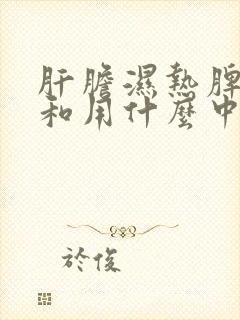 肝胆湿热脾胃不和用什么中成药