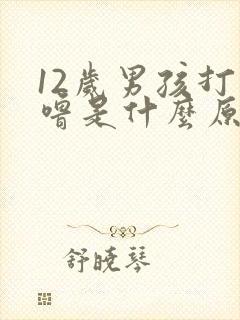 12岁男孩打呼噜是什么原因引起的