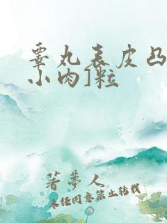 睾丸表皮凸起的小肉]粒