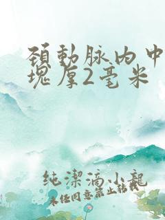 颈动脉内中膜斑块厚2毫米