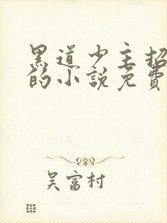 黑道少主招惹我的小说免费阅读