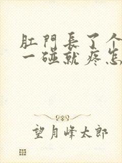 肛门长了个疙瘩一碰就疼怎么回事