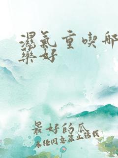 湿气重吃哪种中药好