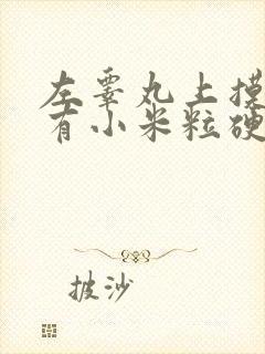 左睾丸上摸上去有小米粒硬