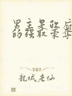 男主是政府高官的强取豪夺高干文