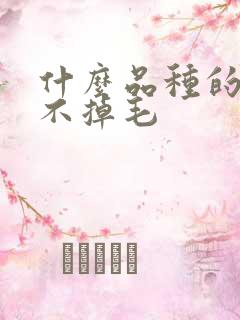 什么品种的猫猫不掉毛