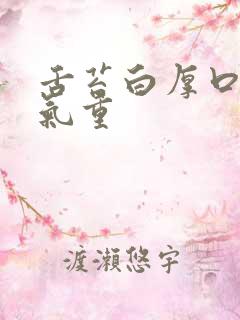 舌苔白厚口苦湿气重