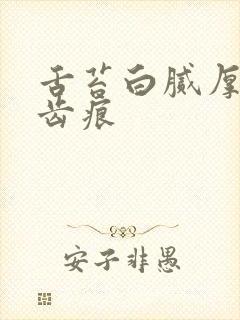 舌苔白腻厚 有齿痕