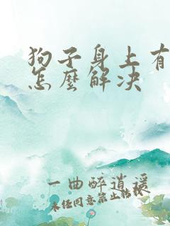 狗子身上有蜱虫怎么解决