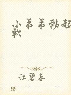 小弟弟勃起龟头软