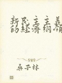 新民主主义国家的经济纲领