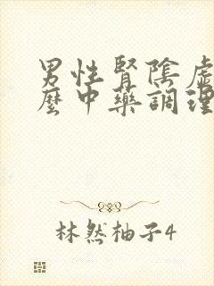 男性肾阴虚吃什么中药调理