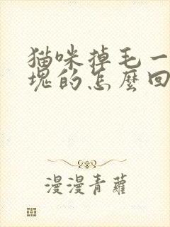 猫咪掉毛一块一块的怎么回事