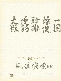 大便干燥一粒一粒的排便困难