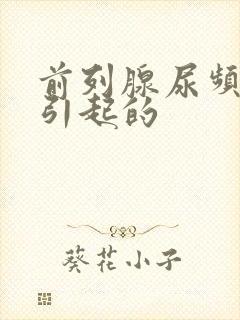 前列腺尿频原因引起的