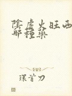 阴虚火旺西药吃哪种药