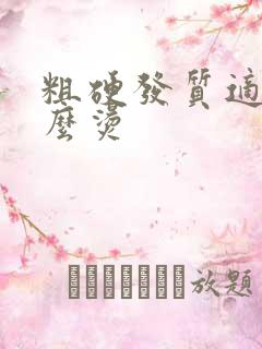 粗硬发质适合什么烫