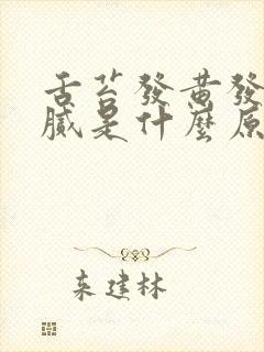 舌苔发黄发白厚腻是什么原因怎么调理