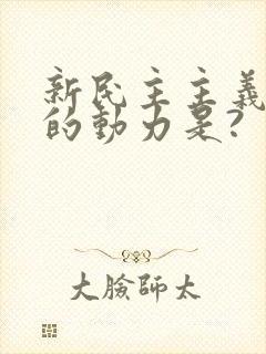 新民主主义革命的动力是?