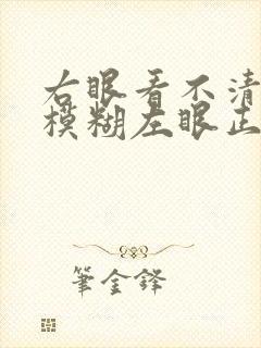 右眼看不清东西模糊左眼正常