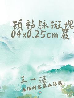 颈动脉斑块1.04x0.25cm严重
