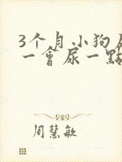 3个月小狗尿频一会尿一点