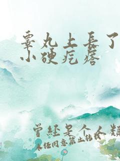 睾丸上长了一个小硬疙瘩