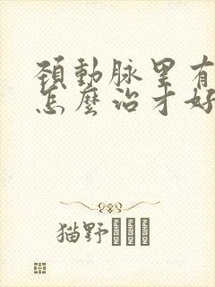 颈动脉里有斑块怎么治才好