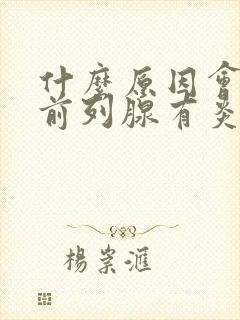 什么原因会导致前列腺有炎