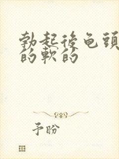 勃起后龟头是硬的软的