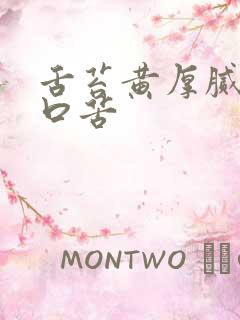 舌苔黄厚腻口干口苦