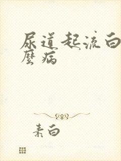 尿道起流白脓什么病